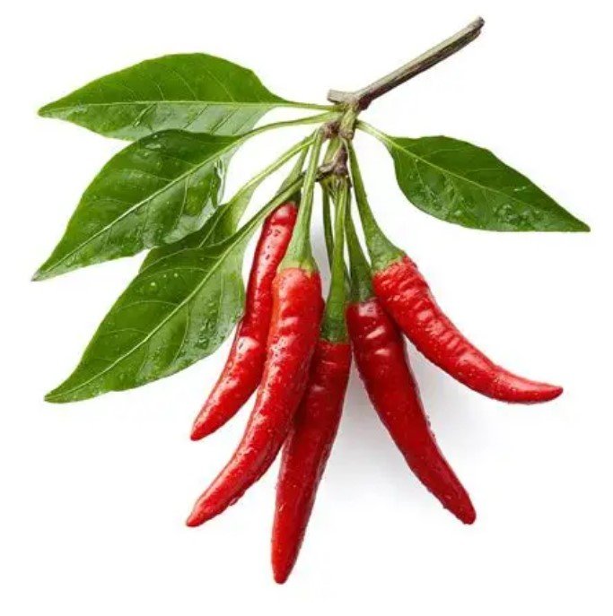 Ekstrak Lada Cayenne Sleemaxtin