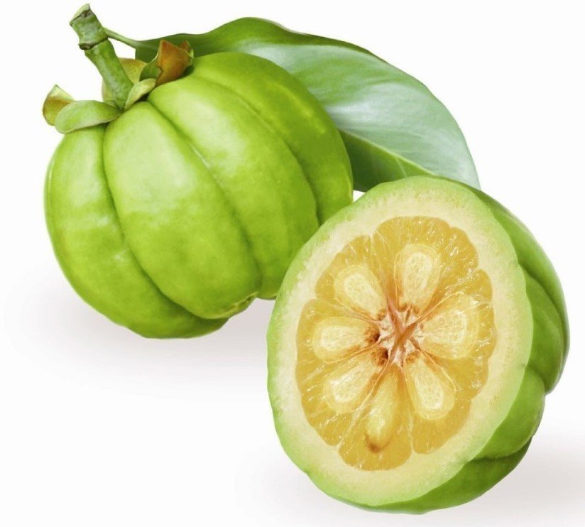 Garcinia Cambogia Sleemaxtin